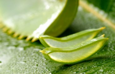 aloe vera gel