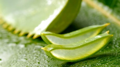 aloe vera gel